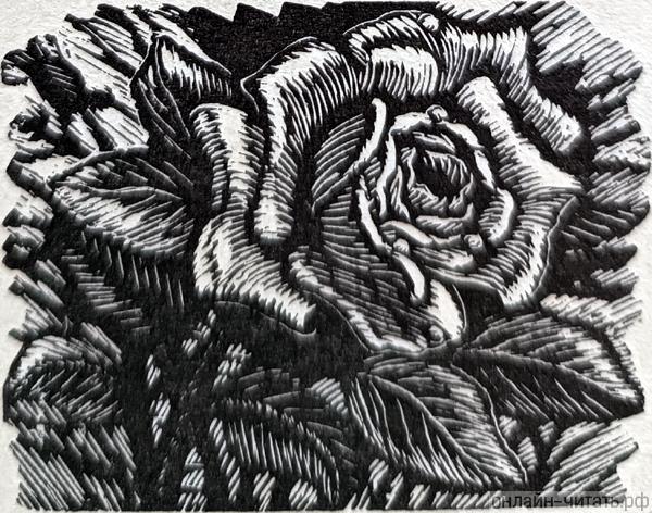    . .   .   , 1978