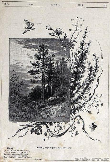 .  (),  ().       .  . 1892