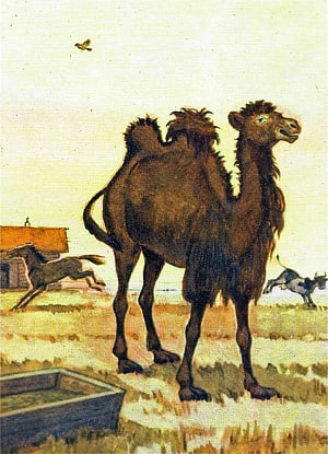    . .  .    , 1976