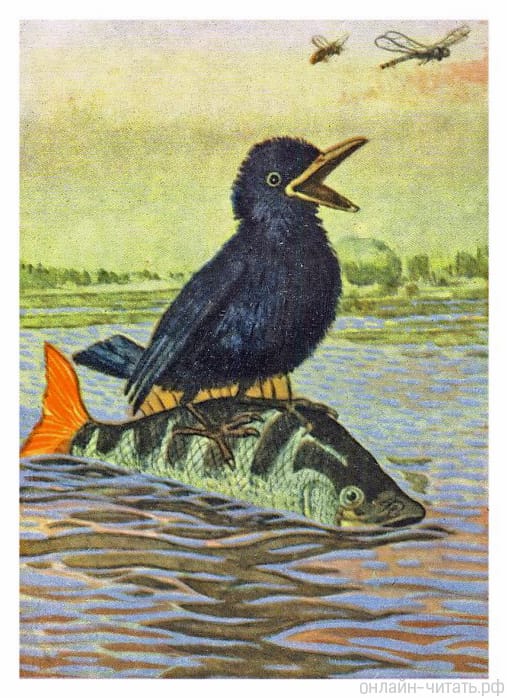    . .   .    , 1976