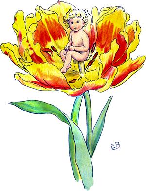 ����������� ����� ������ � ������ ��������� �����������