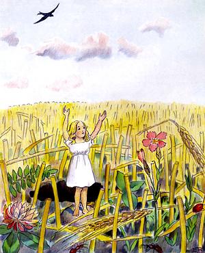 ���������� ��������� � ���������