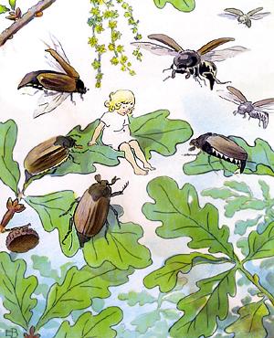 ���������� � ������� ����