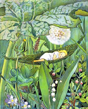 ���������� � ��������� ����������