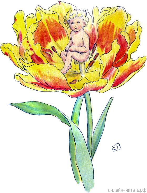 ����������� ����� ������ � ������ ��������� �����������