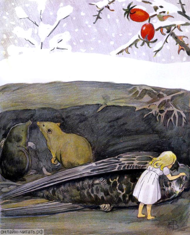 ���������� ���������� ��������