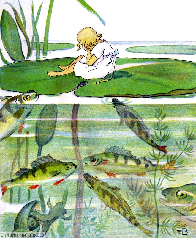 ����� ������� ���������� �� ���