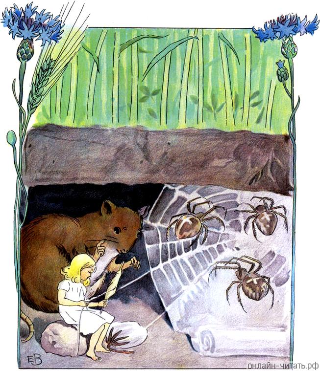 �������� �������� ������ �� ����� ����...� ����������� ����� ������ � ������ ��������� �����������