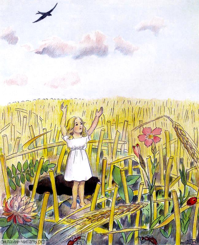 ���������� ��������� � ���������