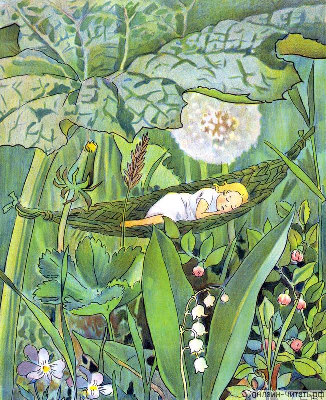 ���������� � ��������� ����������