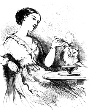 ������ �������� � ���� �������� �������, ���������� �� �����, ���� ��� ������� ����� ������; ��� ����������� � ���, � �� ��������� � ��� ���� ������, �� ����������, ����� ���������� ��� � �������� ����... ����������� � ������ ����� �� �������� ����������� ����. ������� 1855 �.