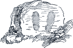 �����. ����������� �. �������� � ����� �. ������ ������������� ��������