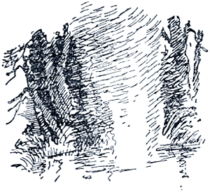 �����. ����������� �. �������� � ����� �. ������ ��������� ��������