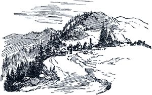 ����������. ����������� ������� �������� � ����� ����� ������ ������� ����. ������� 1948 �.