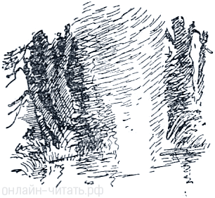 �����. ����������� �. �������� � ����� �. ������ ��������� ��������