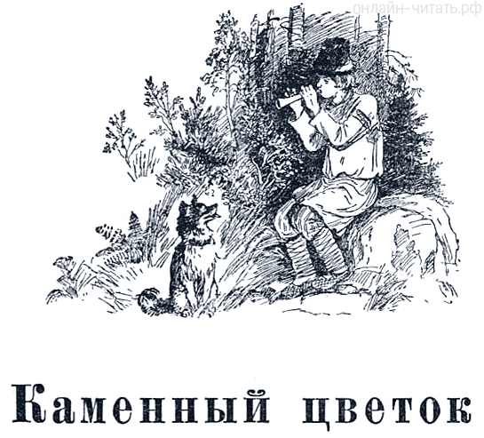 ����������. ����������� ������� �������� � ����� ����� ������ ��������� ������. ������� 1948 �.