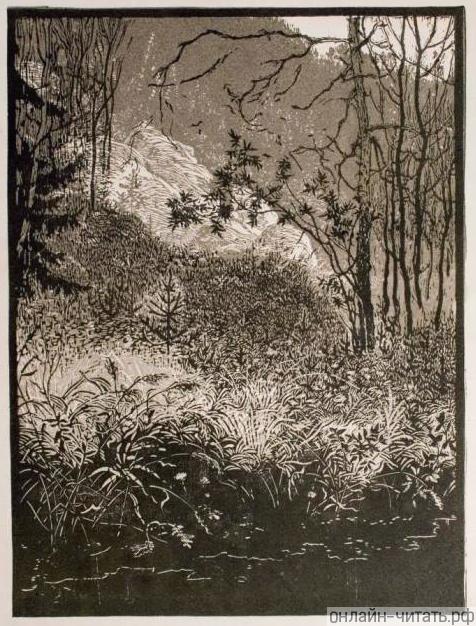  .    . .   .  . . , 1955 .