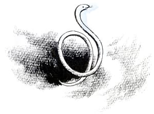 ���� � ����� ����� ��������� ����������� ������... ����������� � ����� �. �. ������ �������� ������. �������� ����� ��������� ������������, 1955 �.