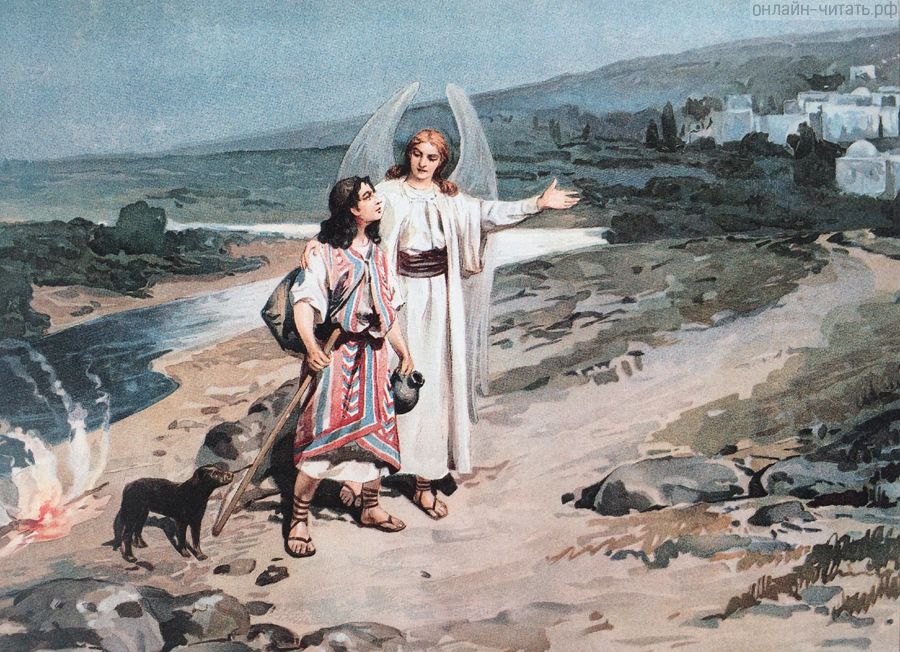 �������� ������ ������������ �����. ����������� � ������. �������� ������� ���������� ������� (1852-1916)