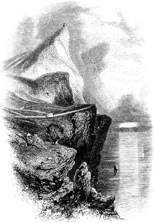 .         -.  1869 .