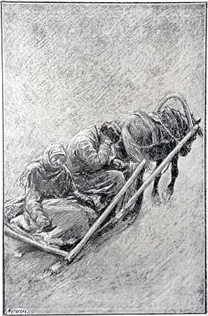        1894 . ( - . . )