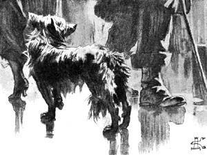 Каштанка потерялась. Иллюстрация Д. Н. Кардовского, 1903