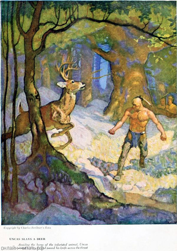   .         .    , 1919