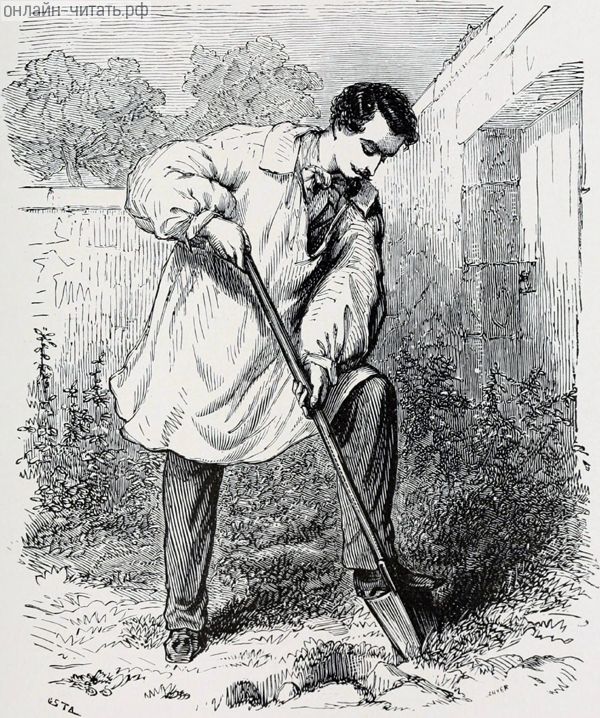        .     -.  1888 .    , -      .