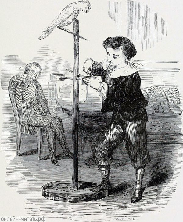 , ,     ,              ,     .     -.  1888 .    , -      .