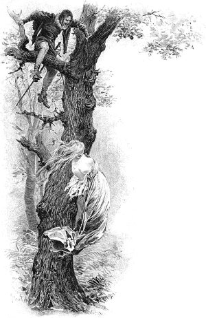                .      ,          .       .   , 1894 .