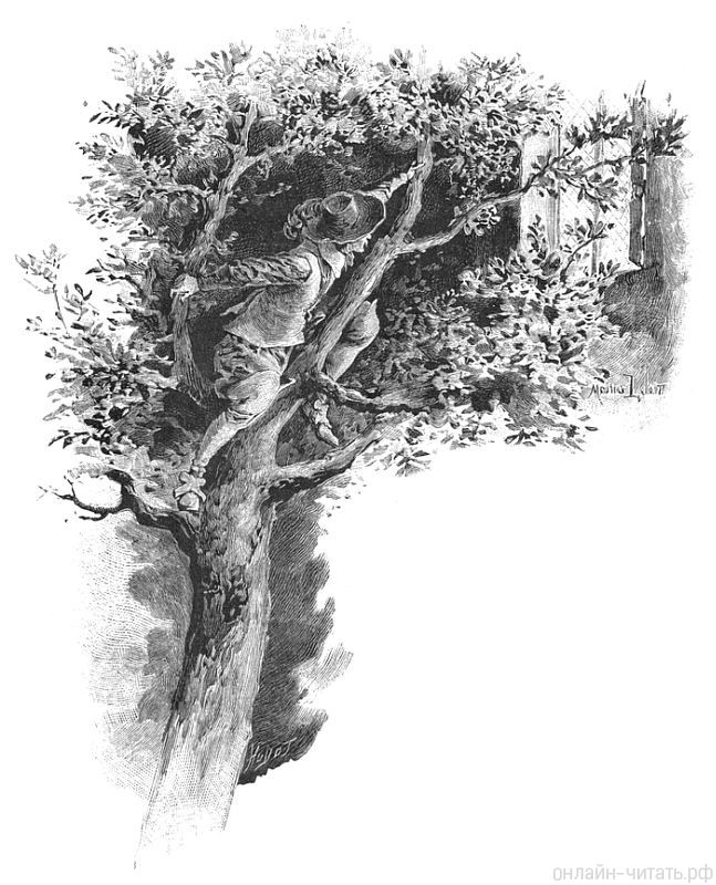                .       .   , 1894 .
