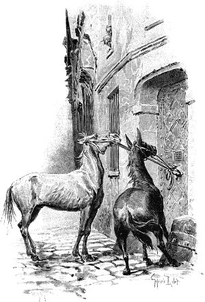      ,      ,   ,   ...       .   , 1894 .