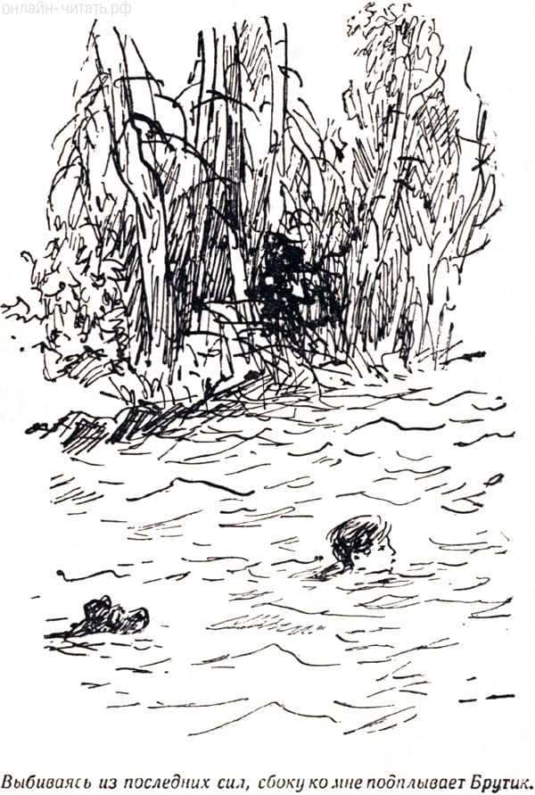 ��������� �� ��������� ���, ����� �� ��� ���������� ������. ����������� � �������� ������� ������� ���� � ����. �������� �. ��������, 1963