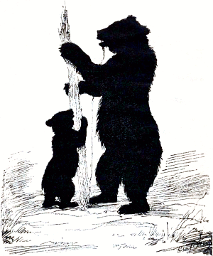 .  . .  (1843-1914)    . .  (1855-1888).