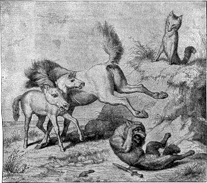            ....    . . ø -.    , 1847 .