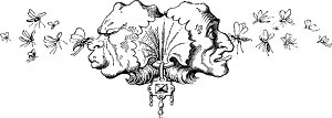  ().    . . ø -.    , 1847 .