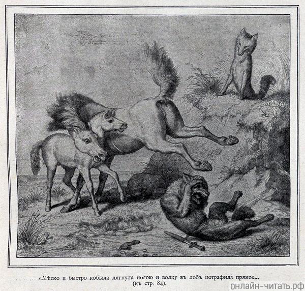            ....    . . ø -.    , 1847 .