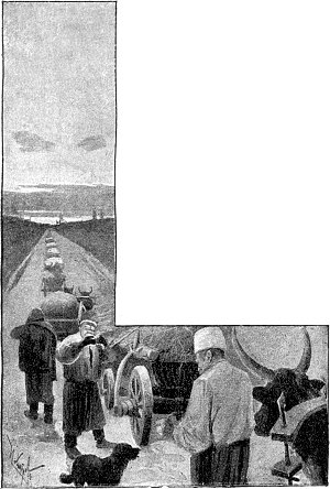 ,     ,  ,      ,  ,         ...    . .   .   ()  , 1893 .