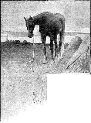 ,       .    . .   .   ()  , 1893 .