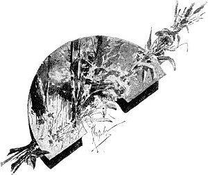   I-   . .   .   ()  , 1893 .