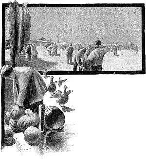  [  II-   . .   .   ()  , 1893 .]