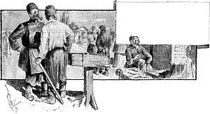  [  III-   . .   .   ()  , 1893 .]