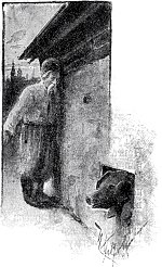      ,            ,       ...    . .   .   ()  , 1893 .