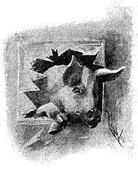   VII-   . .   .   ()  , 1893 .