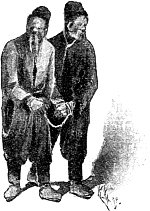   XI-   . .   .   ()  , 1893 .