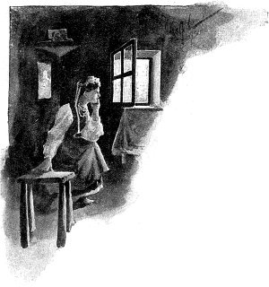  [  XIII-   . .   .   ()  , 1893 .]