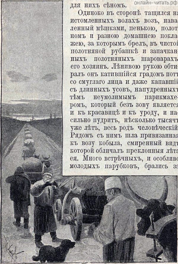 ,     ,  ,      ,  ,         ...    . .   .   ()  , 1893 .