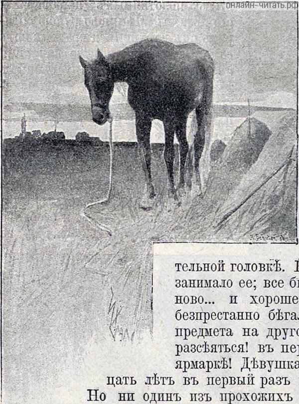 ,       .    . .   .   ()  , 1893 .