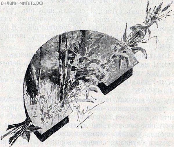   I-   . .   .   ()  , 1893 .