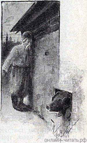      ,            ,       ...    . .   .   ()  , 1893 .